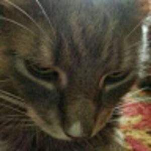 Meet your Posher, Joanna